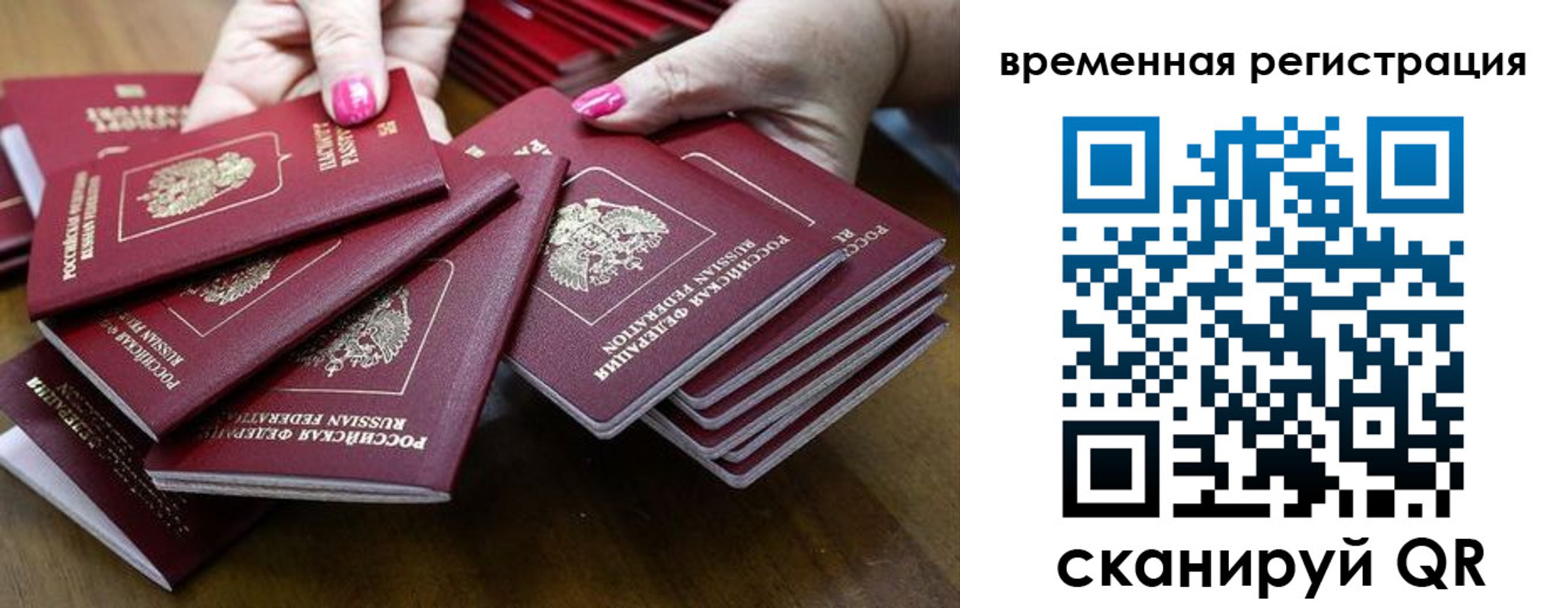 временная регистрация поиск в Всеволожске